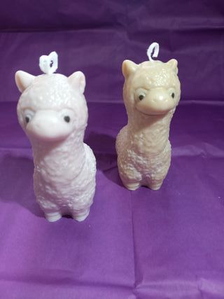 Velas de soja para eventos