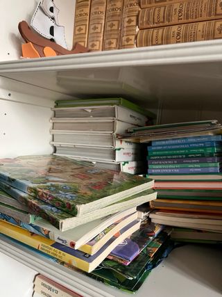 Lote de libros infantiles