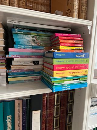 Lote de libros infantiles