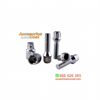 JUEGO DE 4 TORNILLOS ANTIRROBO Y 2 LLAVES (46 mm)