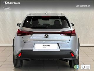 Lexus UX  250h 2WD PREMIUM