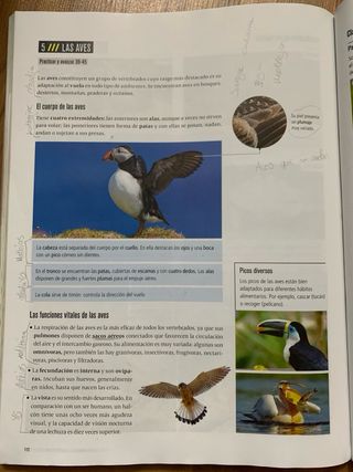 Proyecto: FanFest - Biología y Geología 1 ESO