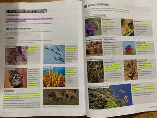 Proyecto: FanFest - Biología y Geología 1 ESO