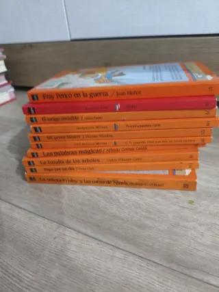 Lote 10 Libros infantiles