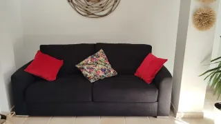 Sofá Cama Negro (gris oscuro) 2 Plazas Tela