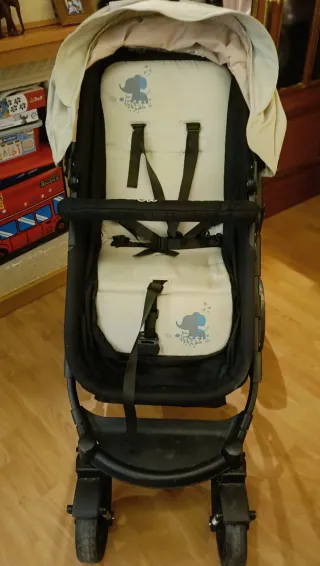 Carro evolutivo plegable