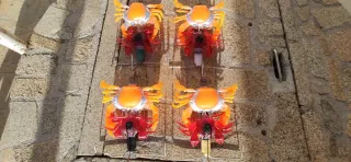 Pulperas rañas garabetas