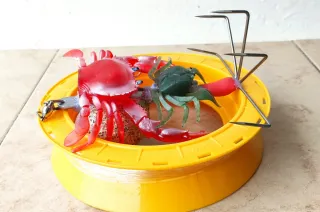 Pulperas rañas garabetas