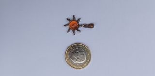 Colgante Plata y Ámbar Sol