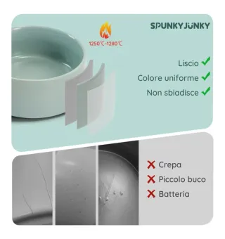 Set 2 ciotole cane/gatto verde chiaro.