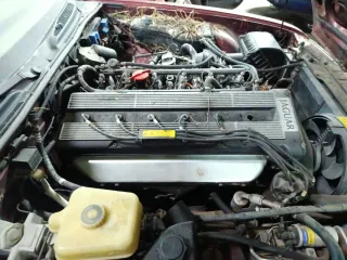 Motor Jaguar