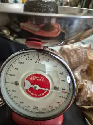 Campana Antigua Bronce Sello Heráldico