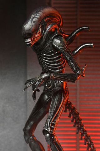 Figura 18 Cm Alien: Romulus Neca Xenomorph XX121