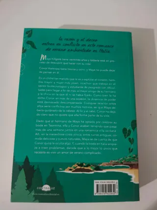 Un amor de verano complicado