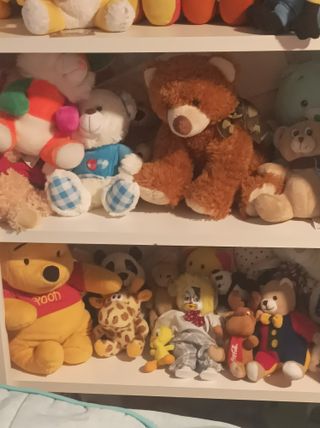 Estantería con peluches