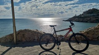 Bicicleta B-PRO ZS1.4 mediana