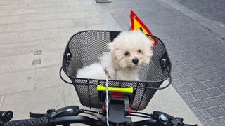 Bicicleta B-PRO ZS1.4 mediana