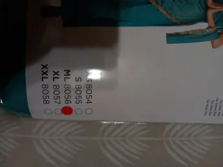 Disfraz princesa jasmin/ Bollywood Talla M