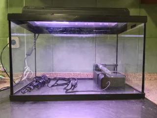 Pecera, terrario sin usar