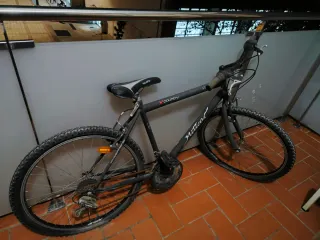 Bicicleta Mítica X Country Negra