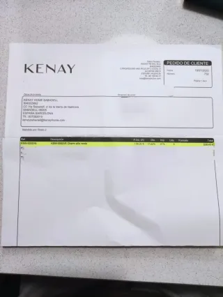 6 Sillas de Comedor Tela verde azulado