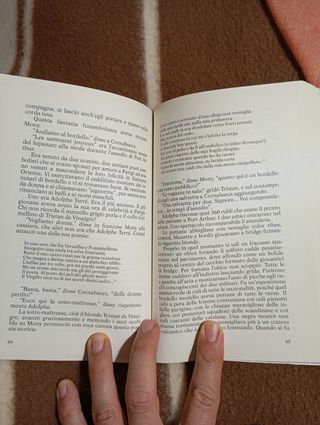 Le undicimila verghe