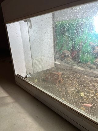 Terrario para tortugas