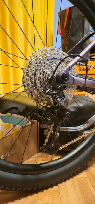 Scott Scale 965 Verde Bitono 2024