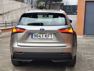Lexus NX 300h Business 2WD