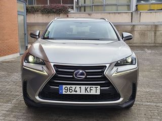 Lexus NX 300h Business 2WD