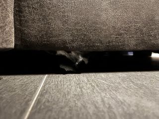 Sofá chaise longue gris