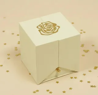 Conjunto 2 anillos baño oro 18k Siempre Juntas