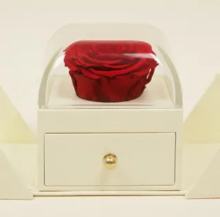 Conjunto 2 anillos baño oro 18k Siempre Juntas