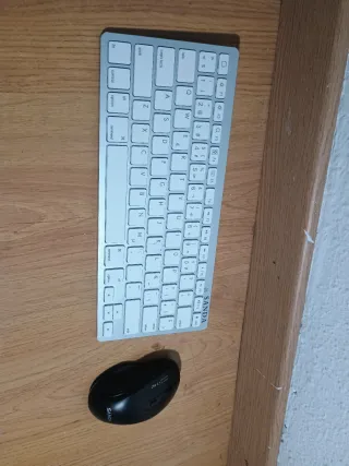 Teclado y ratón inalámbricos