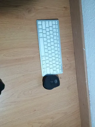 Teclado y ratón inalámbricos