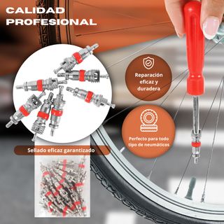 Kit obuses válvula: 30 núcleos + extractores