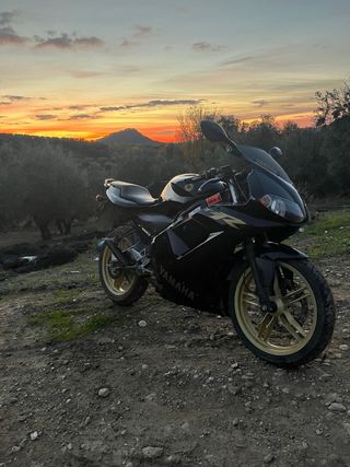 Yamaha TZR 50cc Deportiva Manual