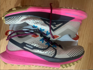 Nike Pegasus Trail 38