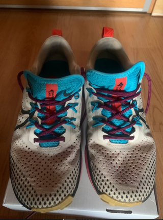 Nike Pegasus Trail 38