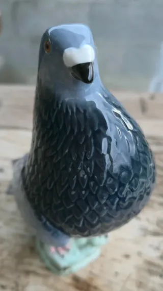 Paloma Torcaz Porcelana