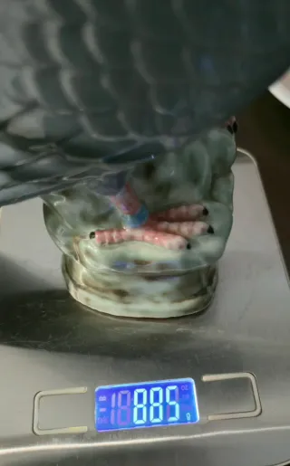 Paloma Torcaz Porcelana