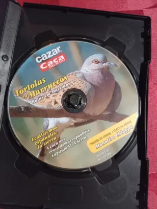 DVD Caça Rolas em Marrocos