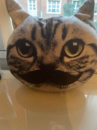 Cojín divertido gato con bigote