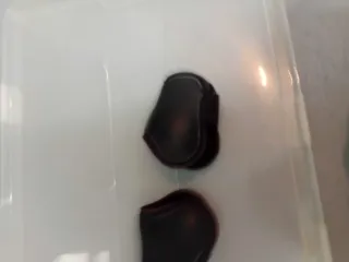 Rodilleras y tobilleras para caballo