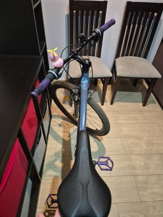 Bicicleta infantil morada