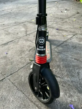 Scotter plegable - 2 ruedas (Hasta 150kg)