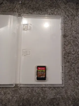 Minecraft Nintendo Switch