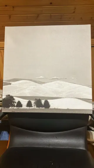 3 Cuadros Paisaje 56x56 cm