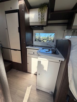 Benimar tessoro 442 Benimar tessoro 442 2023