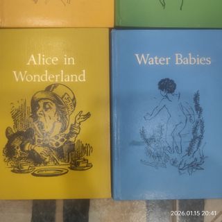 Lote libros juveniles en inglés